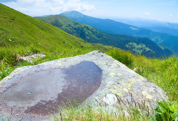 Similar image 444473