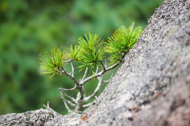 Similar image 444493