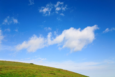 Similar image 444520