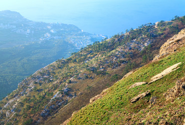 Similar image 444556