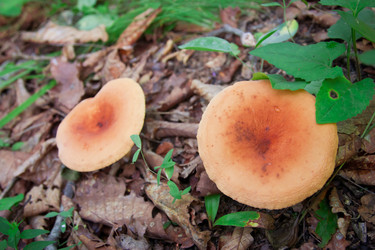 Similar image 444601