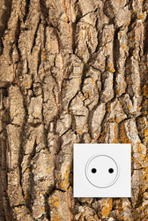 Similar image 444615