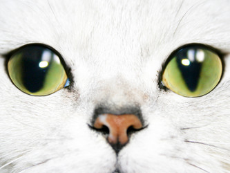 Similar image 444623