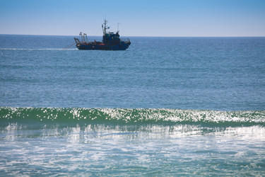 Similar image 444703