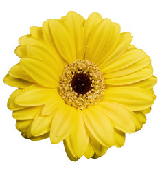 Similar image 444711