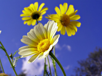 Similar image 444720