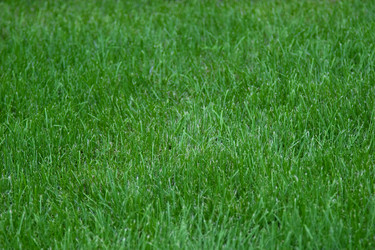 Similar image 444737