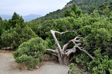 Similar image 444751