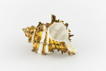 Similar image 444762