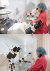 Similar image 444774