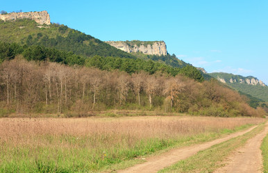 Similar image 444776