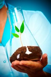 Similar image 444794