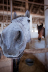 Similar image 444798