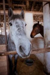 Similar image 444801