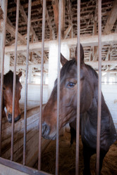 Similar image 444805