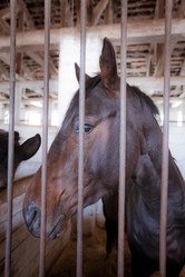 Similar image 444806