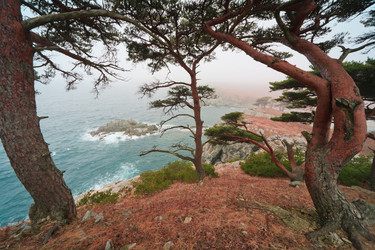 Similar image 444826