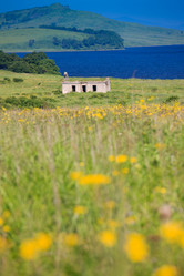 Similar image 444839