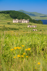 Similar image 444840