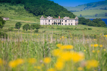 Similar image 444843