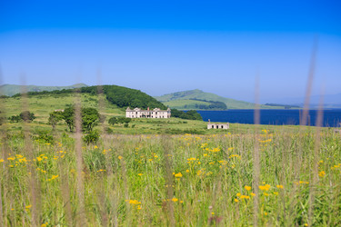 Similar image 444847