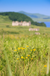 Similar image 444850