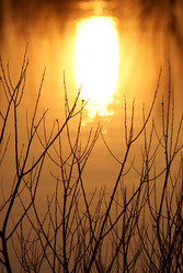 Similar image 444857