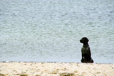 Similar image 444874