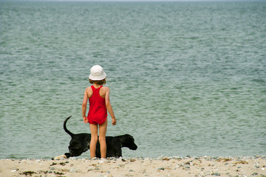 Similar image 444876