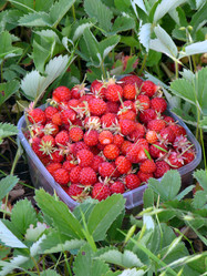 Similar image 444884