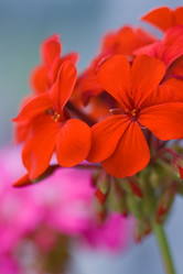 Similar image 444891