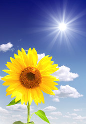 Similar image 444908