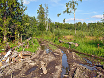 Similar image 444939