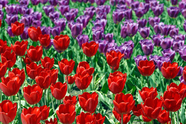 Similar image 444946