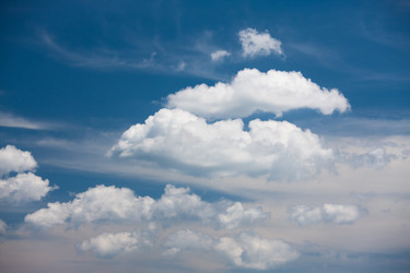 Similar image 444962