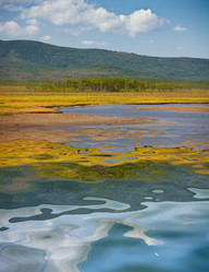 Similar image 444971