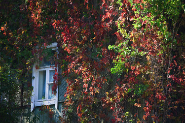 Similar image 444974