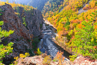 Similar image 444981