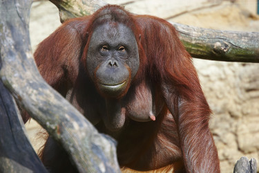 Similar image 445005