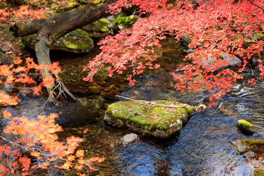 Similar image 445023