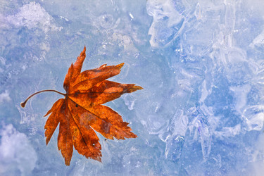 Similar image 445027