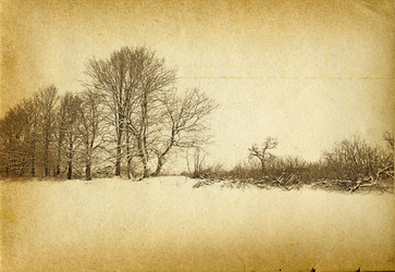 Similar image 445040