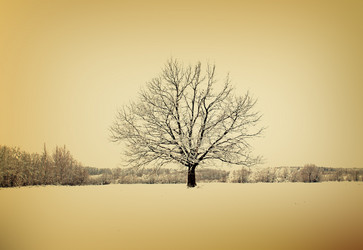 Similar image 445041