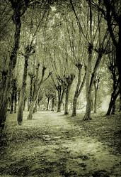 Similar image 445043