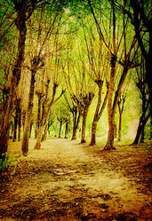 Similar image 445044