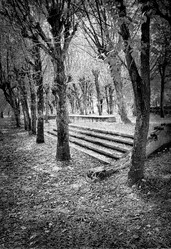 Similar image 445045