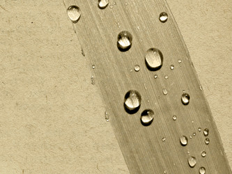 Similar image 445053