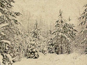 Similar image 445068