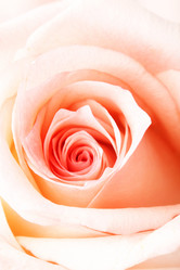 Similar image 445095