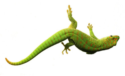 Similar image 445123